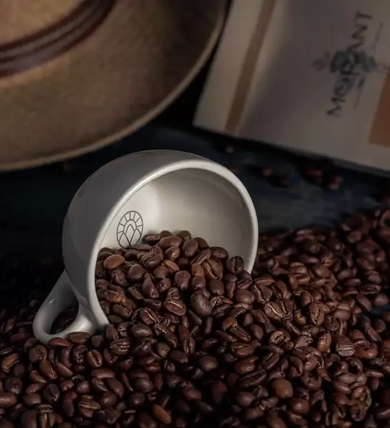 Cafe_Morant_web-7