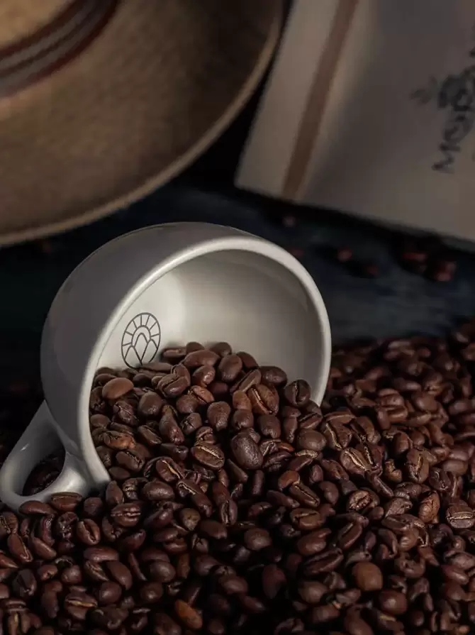 Cafe_Morant_web-7